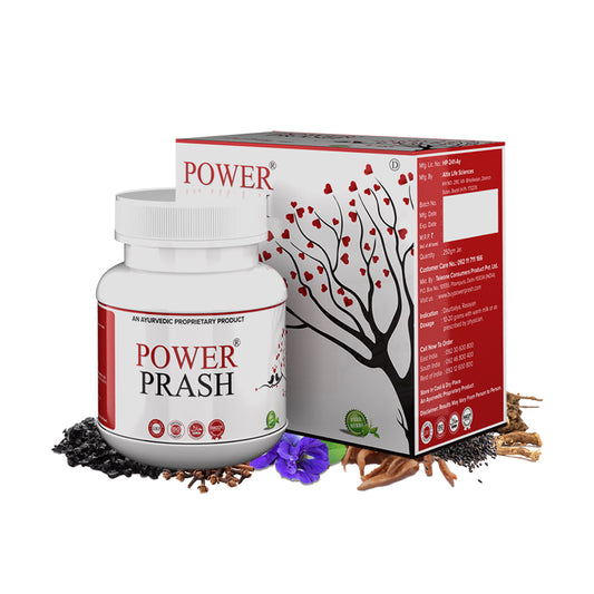 Power Prash - Ayurvedic Supplement for Strength and Wellness in Men & Women