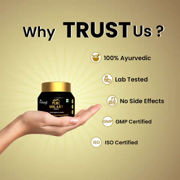 Vedacharya Pure Shilajit Resin for Health & Wellness - 100% Ayurvedic