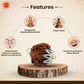 7 Mukhi Nepali Rudraksha (Lab Certified)