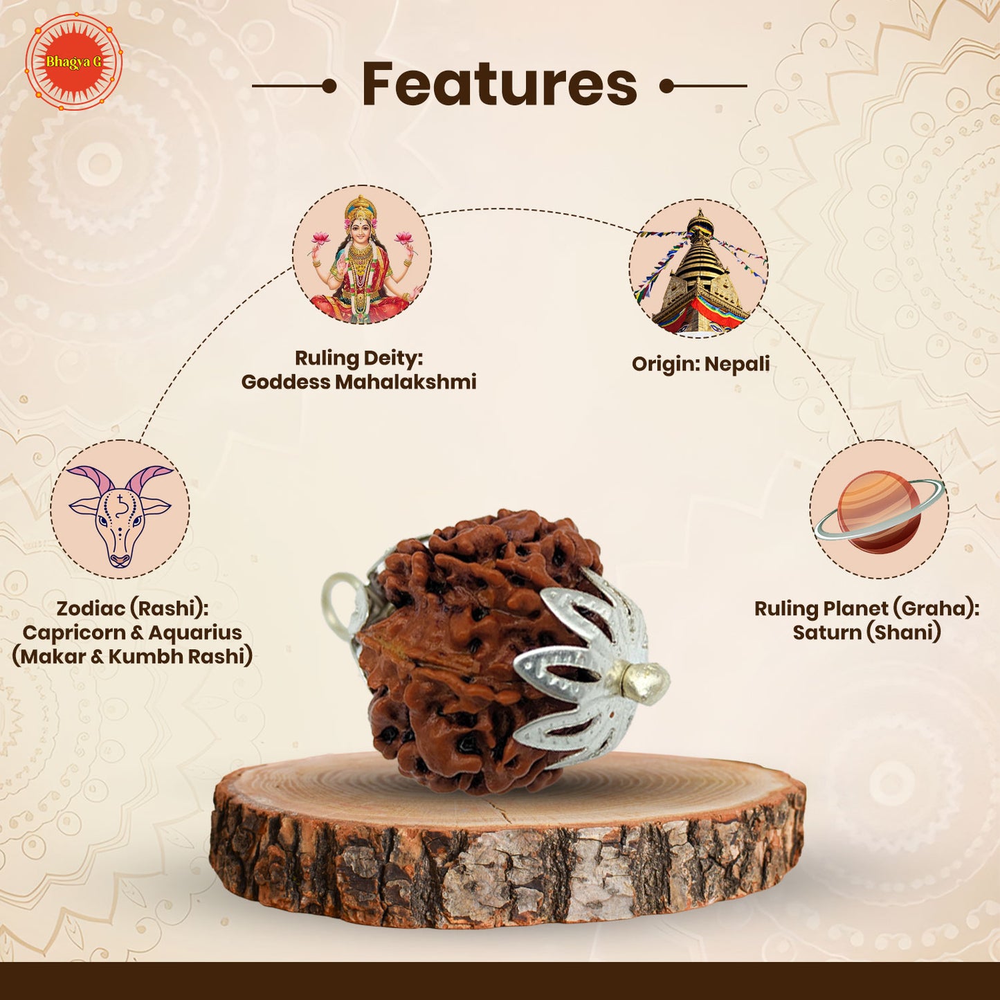 7 Mukhi Nepali Rudraksha (Lab Certified)