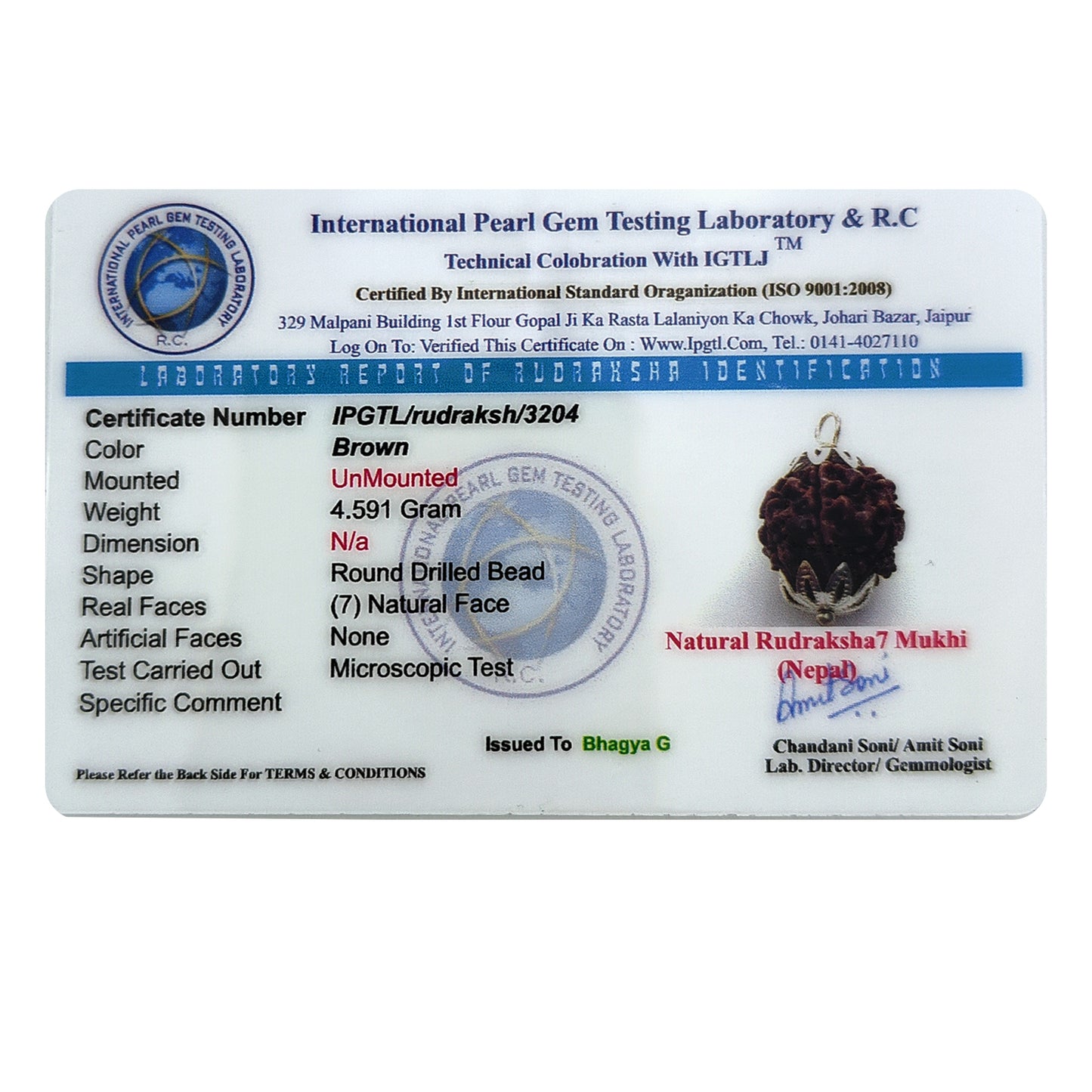 7 Mukhi Nepali Rudraksha (Lab Certified)