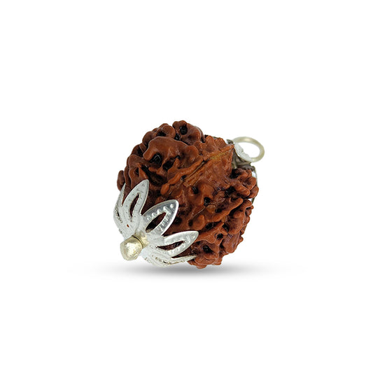 7 Mukhi Nepali Rudraksha (Lab Certified)