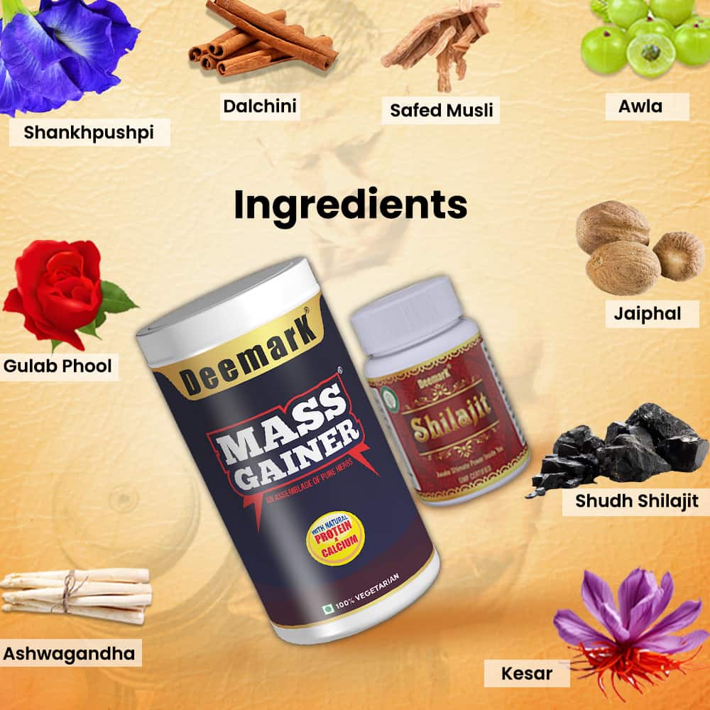 Mass Gainer Protein Powder and Shilajit Gold Capsules for Stamina & Power