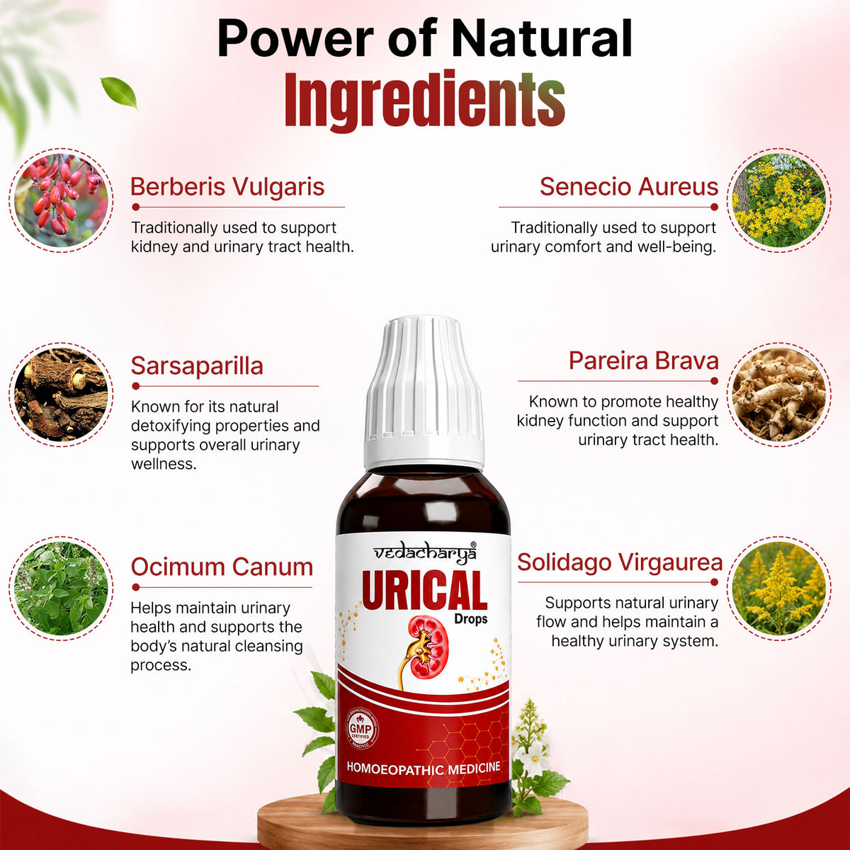 மூல நோய்க்கான கேப்சூல்களுடன் கூடிய பைல்ஸ் இல்லை ஆயுர்வேதப் பொடி (2 எண்ணிக்கையிலான பேக்)