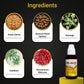 BN-ALCO Drops (नशा मुक्ति दवा) - Homeopathic Medicine to Quit Alcohol, Smoking, & Tobacco